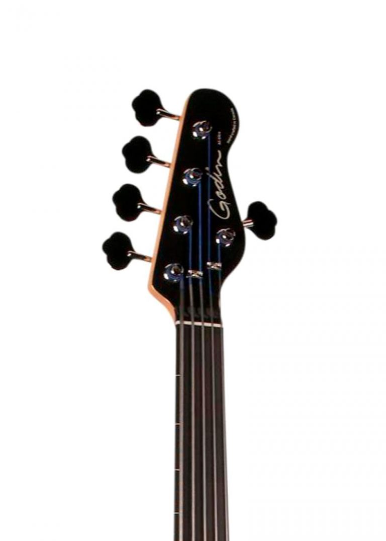 Godin A5 Ultra Bass Fretless SA 5String AcousticElectric Bass Guitar